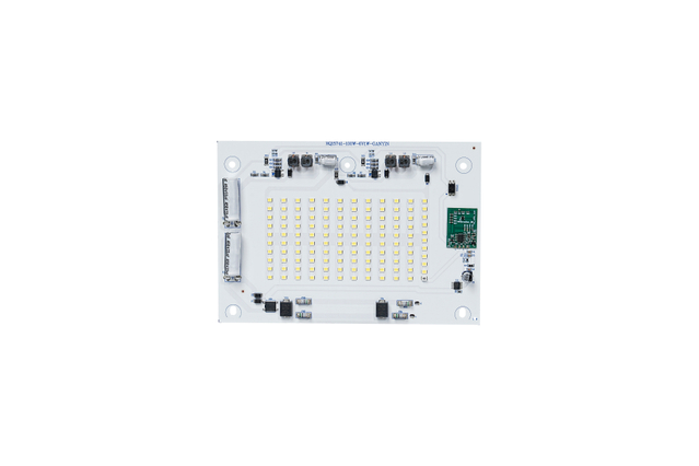 Flood Light With Reda-100W
