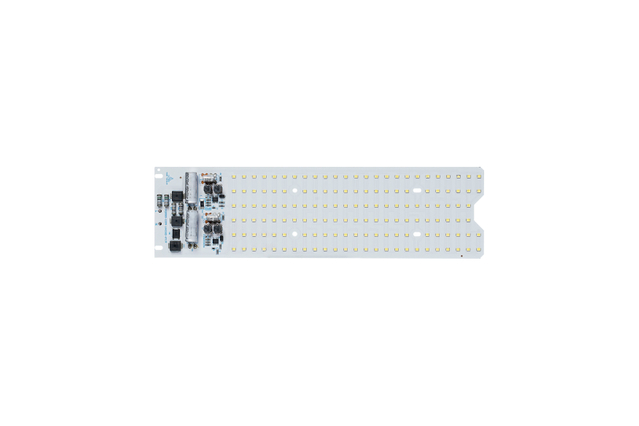 DOB LP WVR Street Light-100W