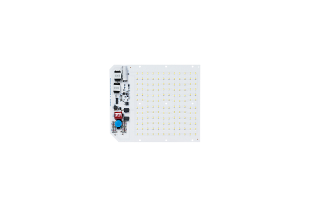 DOB HP WVR Flood Light-100W